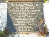 image of grave number 720132